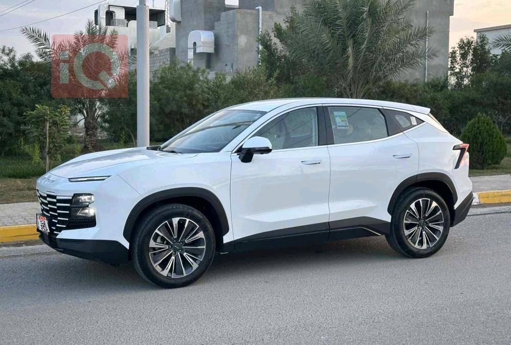 جيتور داشينج